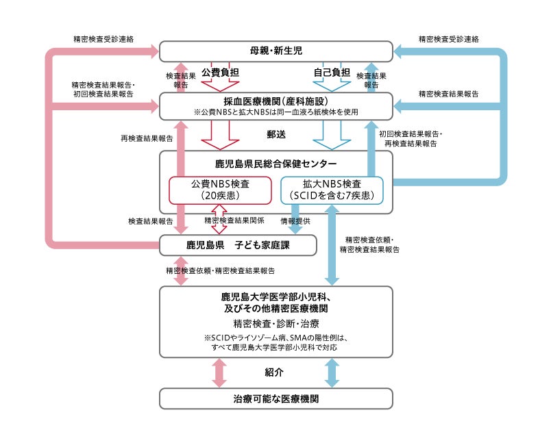 図3：鹿児島県におけるNBS検査の流れ