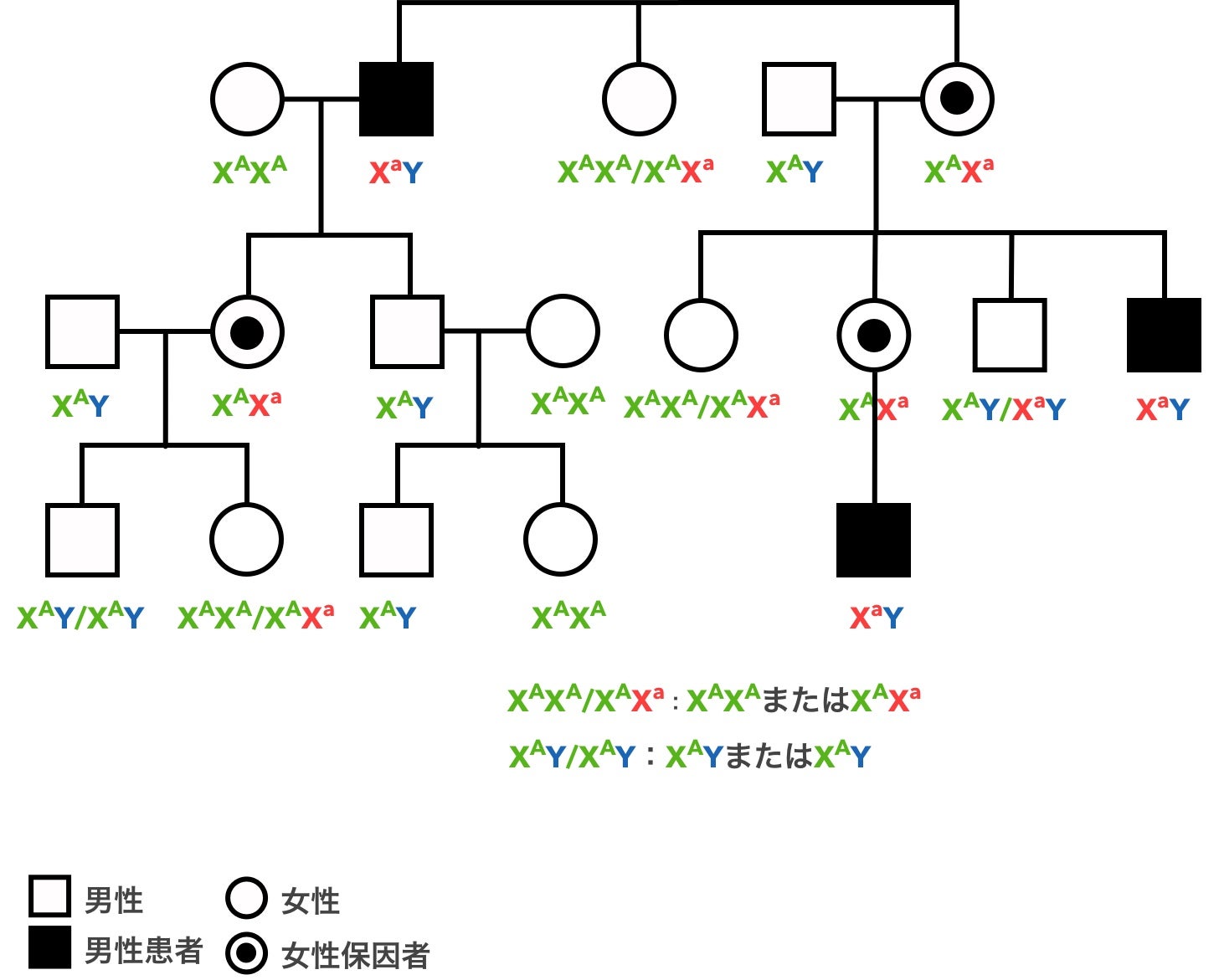 家系図の例