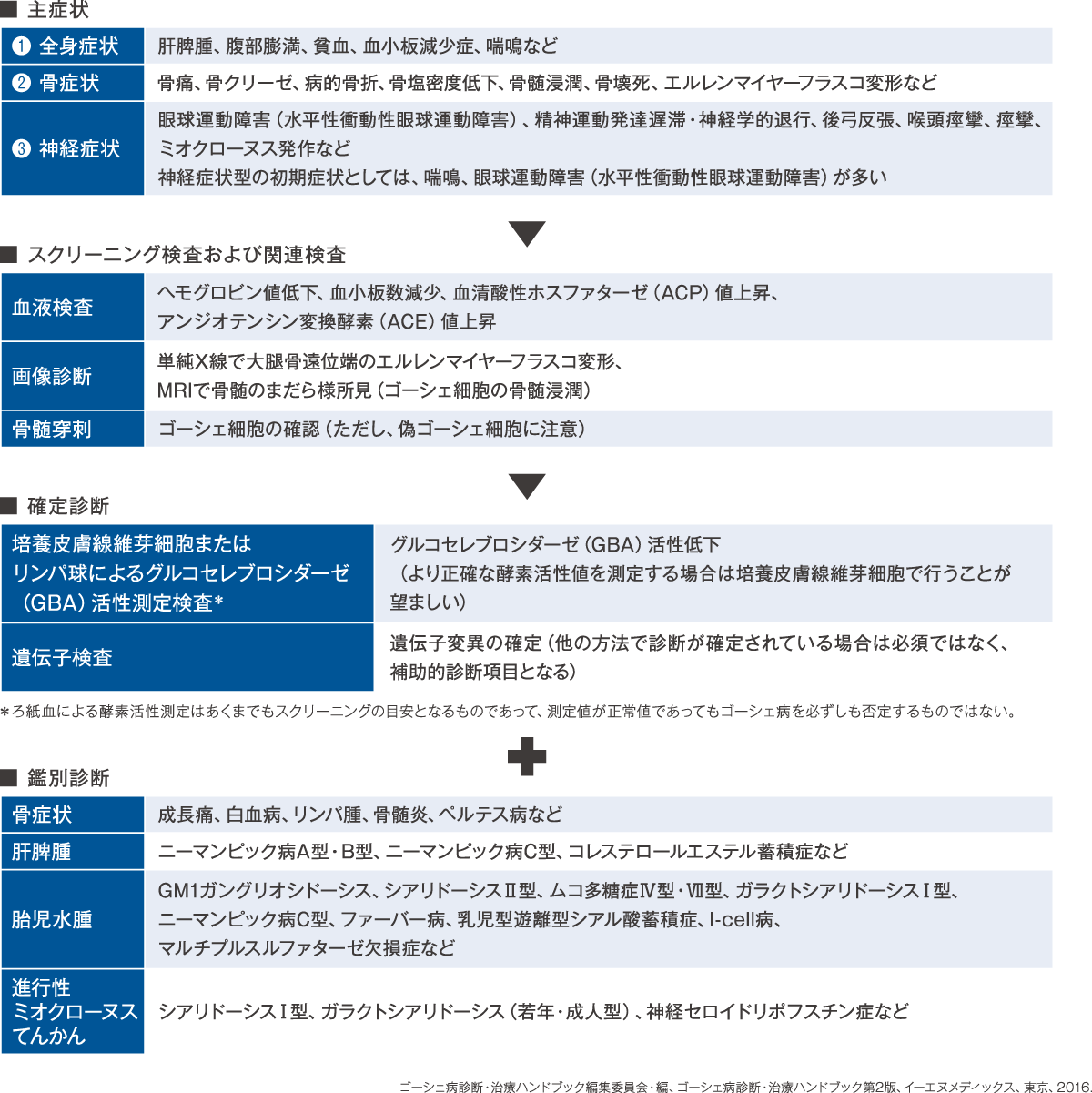 ゴーシェ病の診断 ゴーシェ病 医療関係者向け疾患情報｜【公式】武田薬品 医療関係者向け情報 Takeda Medical site