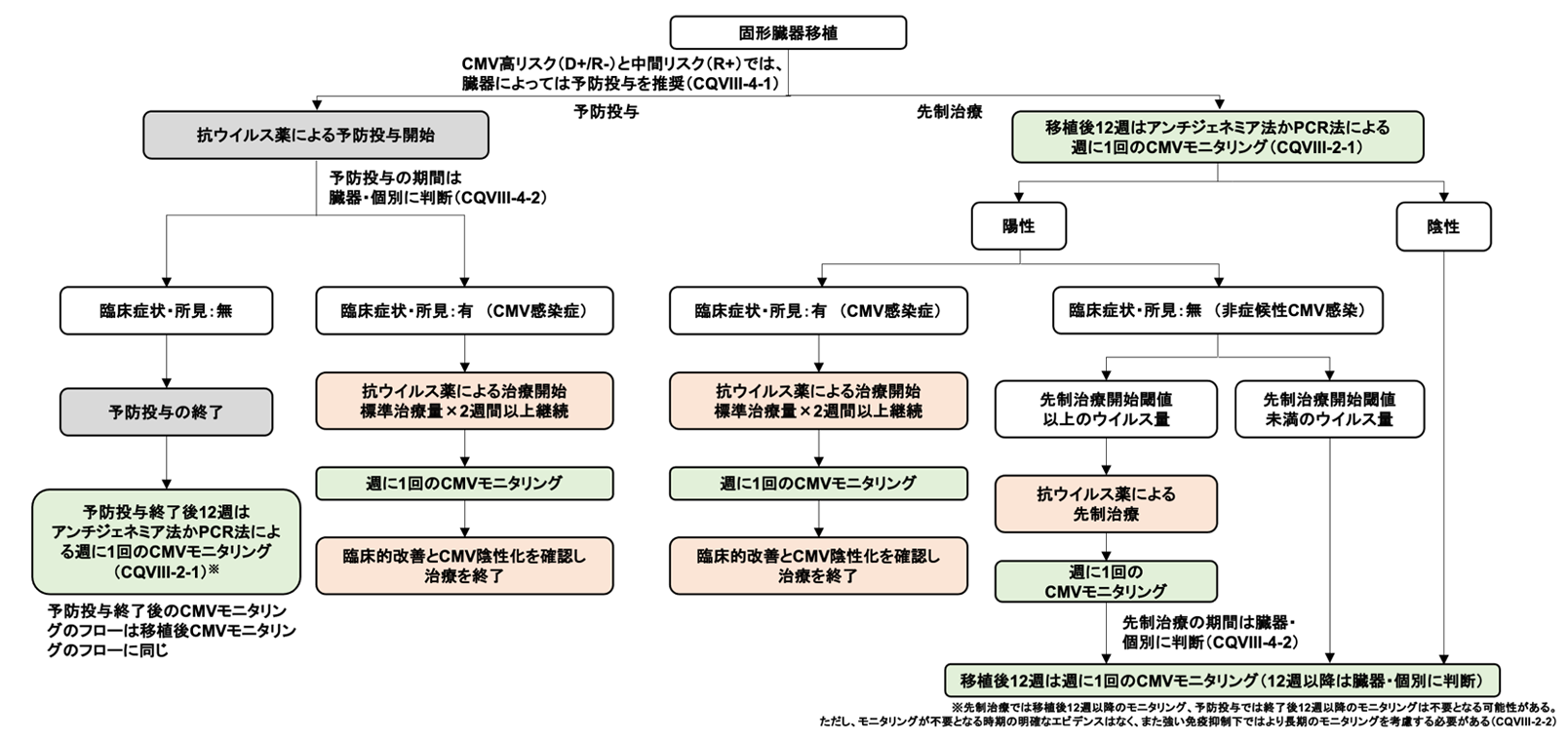 SOT（固形臓器移植） 固形臓器移植後のCMV感染対策及びCMV感染症の治療フロー