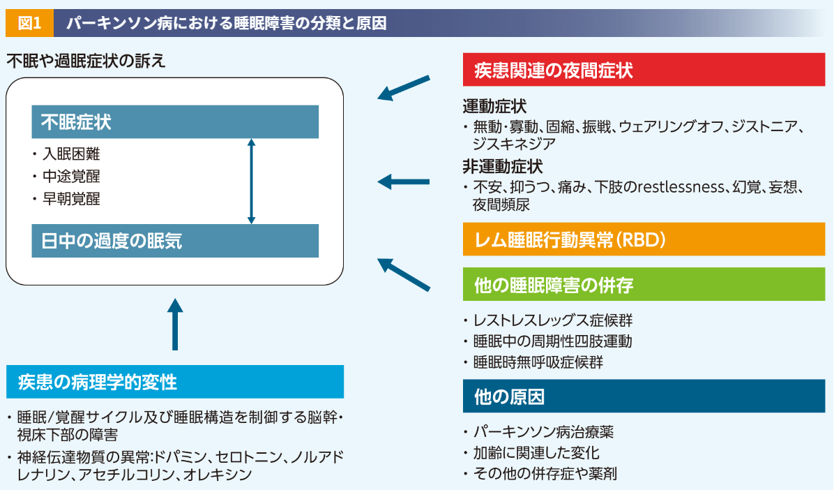 ALC_パーキンソン病における睡眠障害の分類と原因