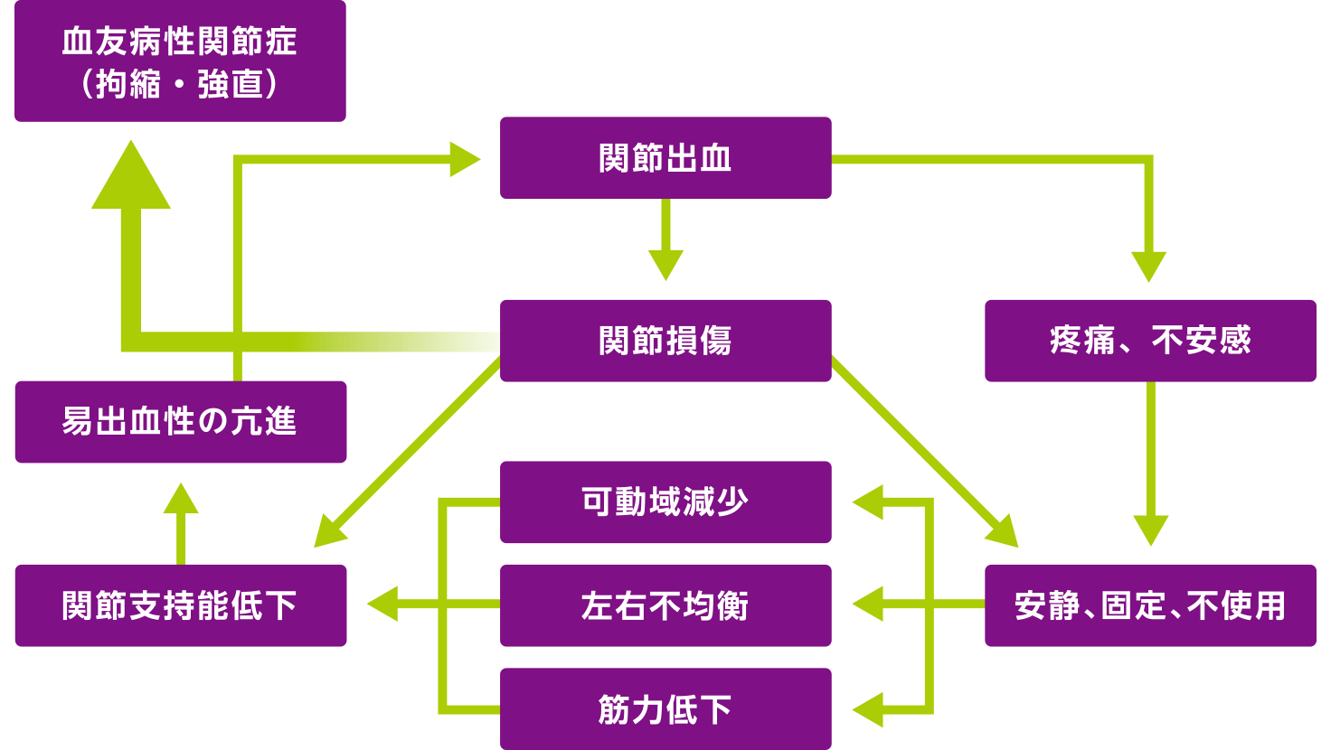 図：血友病性関節症の悪循環