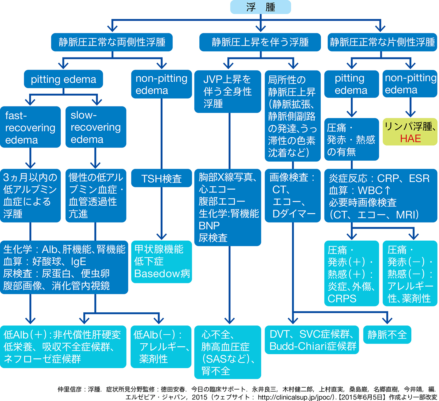 図1 浮腫の鑑別アルゴリズム