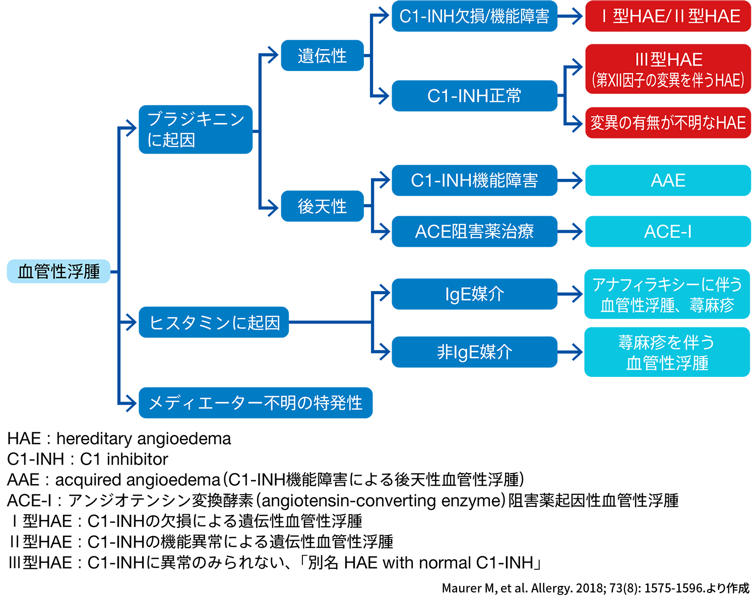 図3 機序に基づく血管性浮腫の分類