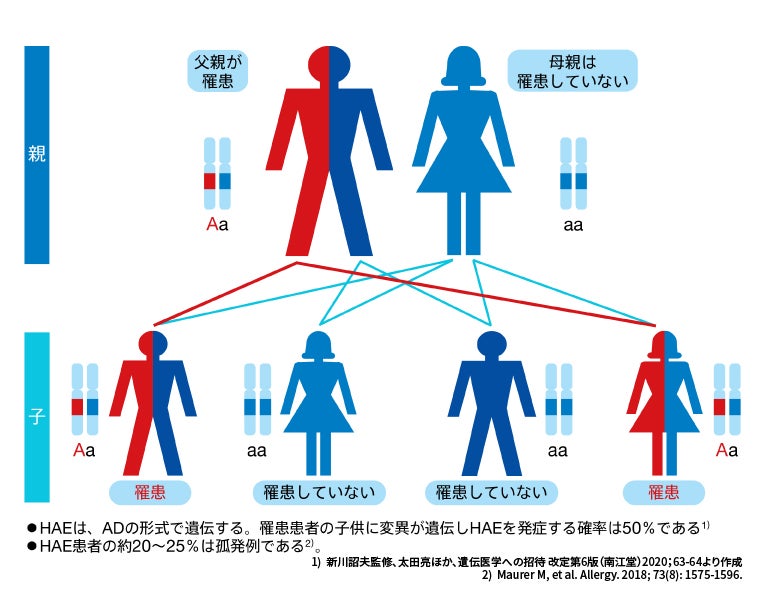 図2 常染色体優性（AD）遺伝図