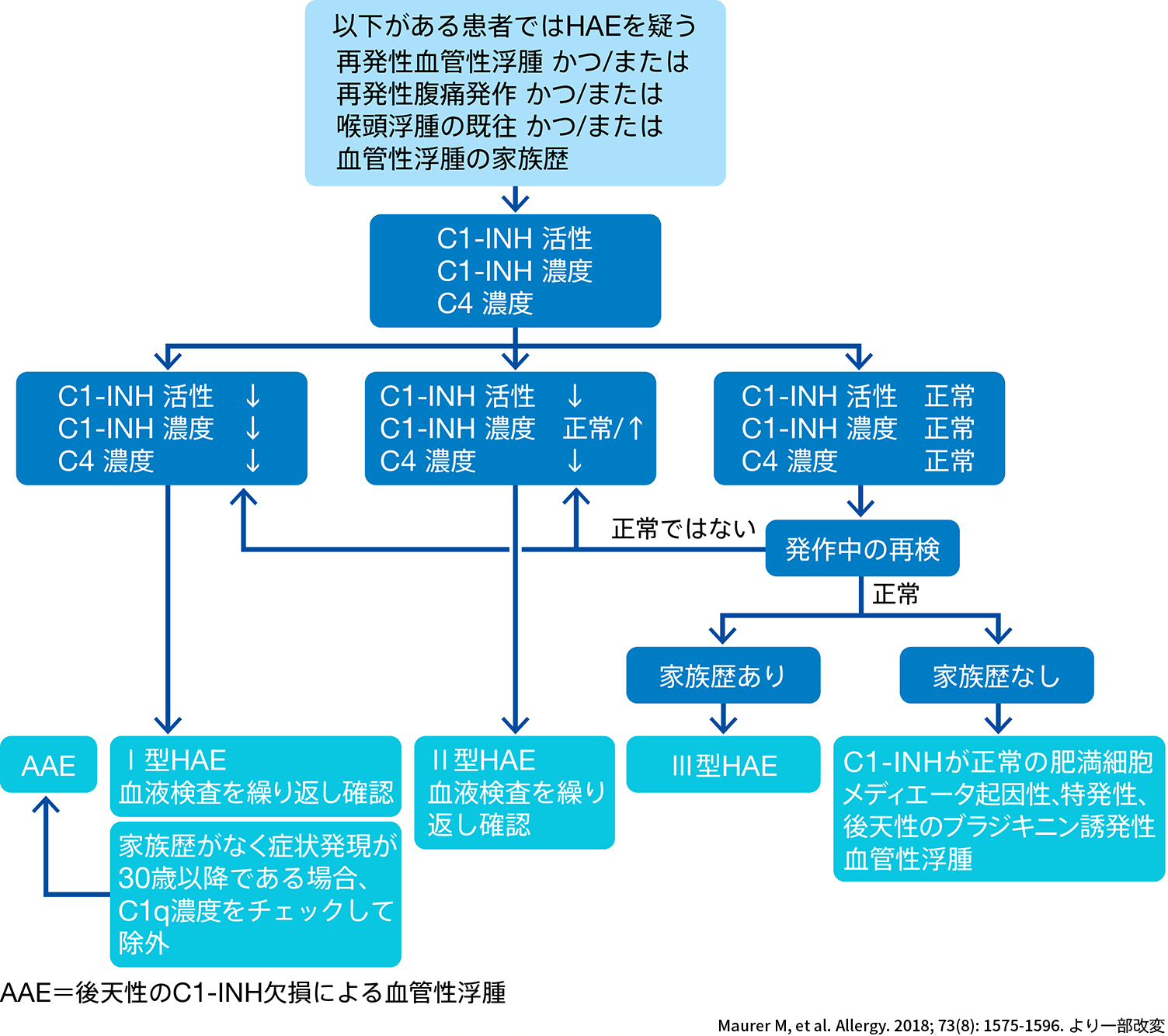 図 HAE診療のためのWAOガイドライン：Ⅰ型/Ⅱ型HAEの診断アルゴリズム