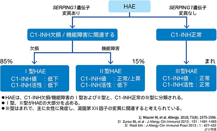 図1 HAE診療のためのWAOガイドライン：Ⅰ型/ⅡHAEの診断アルゴリズム