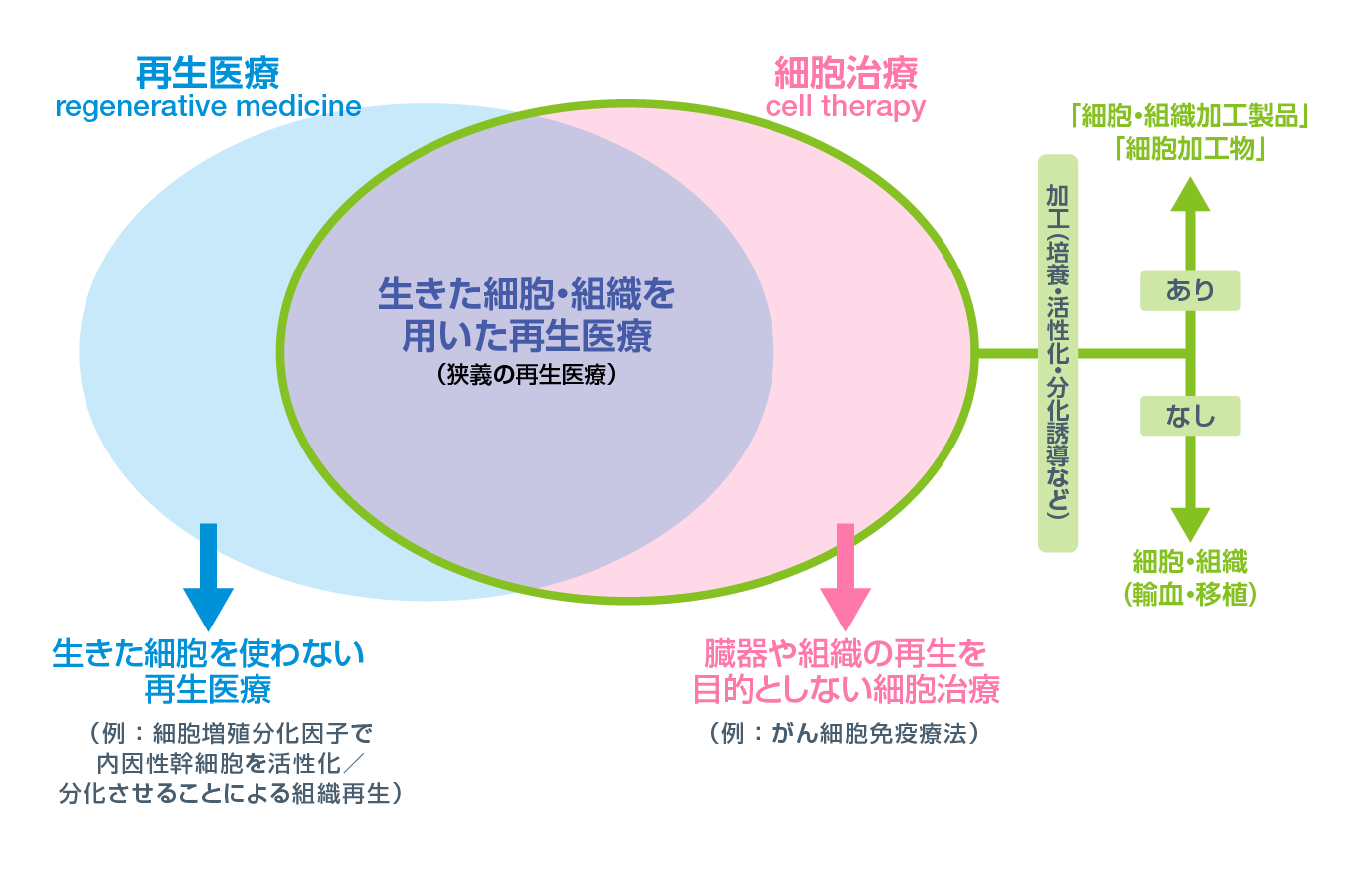 再生医療等製品の定義