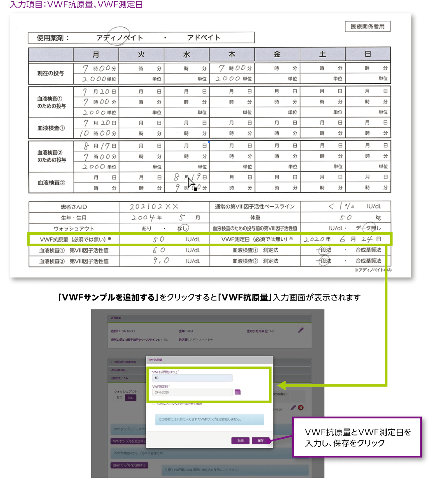 マイPKフィット®入力シート(記入例)