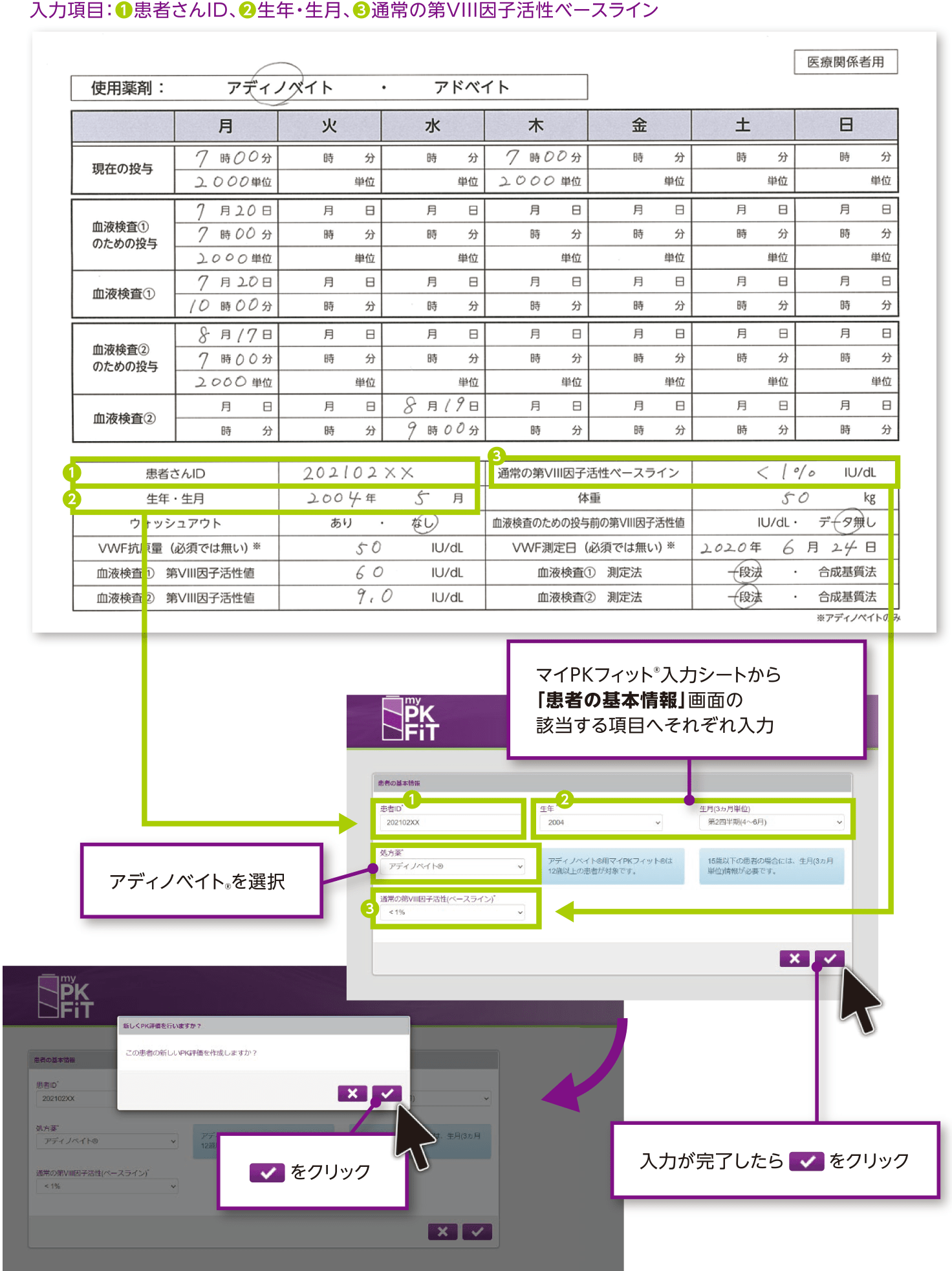 マイPKフィット®入力シート(記入例)