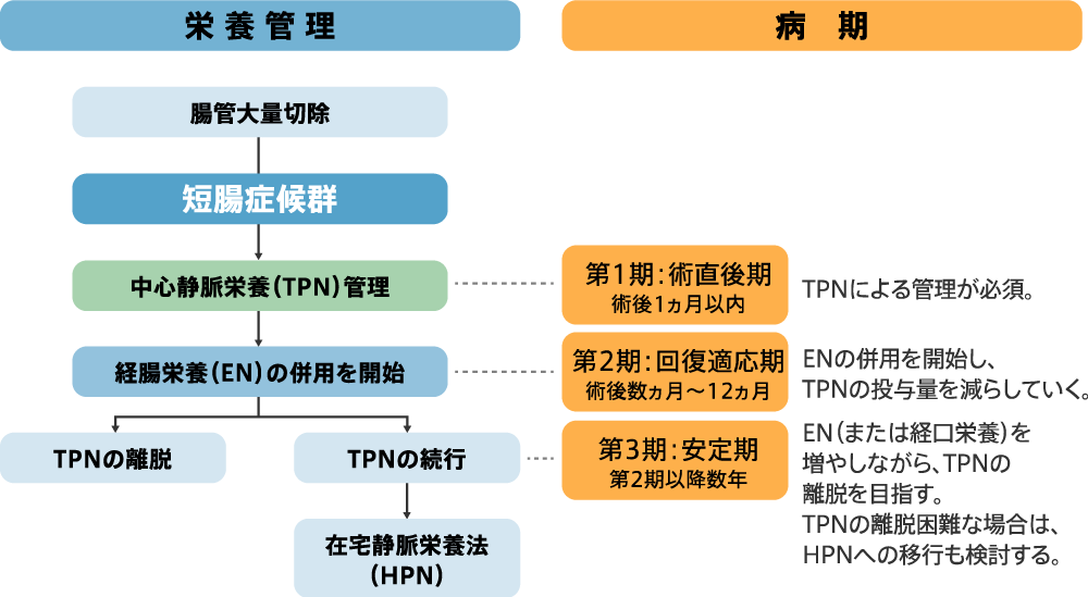 図3 SBSの栄養管理方針